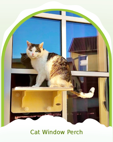 Cat Window Perch