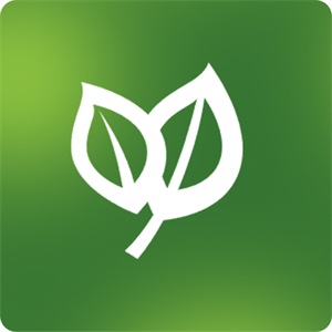 Vitamin B Group and Prebiotic Fiber