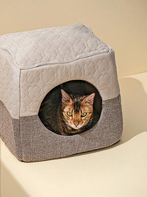cat bed for indoor cat