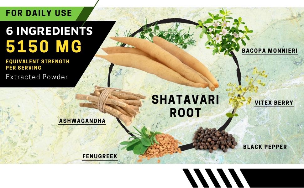 Organic Shatavari Root, Bacopa Monnieri, Ashwagandha Root, Vitex Berry, Fenugreek, Black Pepper