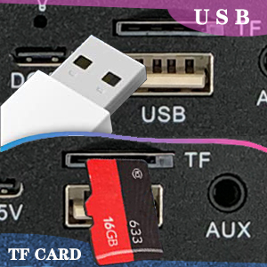 ALPOWL Machine de karaoké, système de Haut-parleurs Portable avec 2 Microphones sans Fil pour fête à la Maison, réunion, Mariage, église, Pique-Nique, extérieur/intérieur (Or) USB & TF