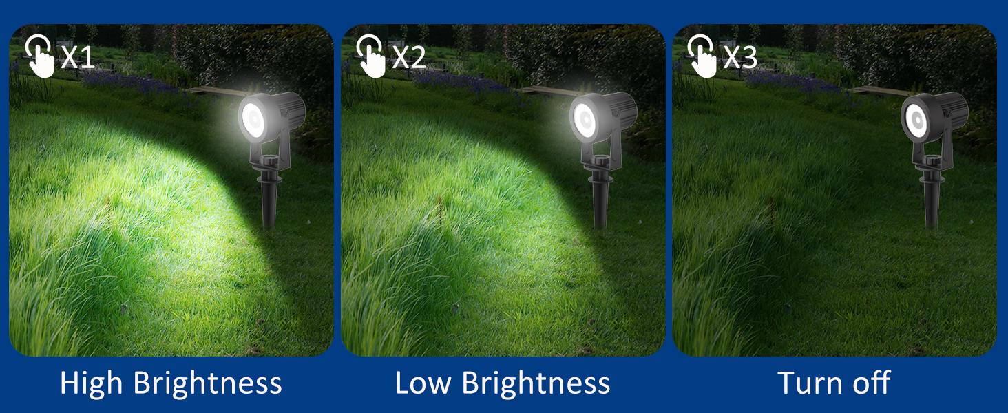 2 Light Modes