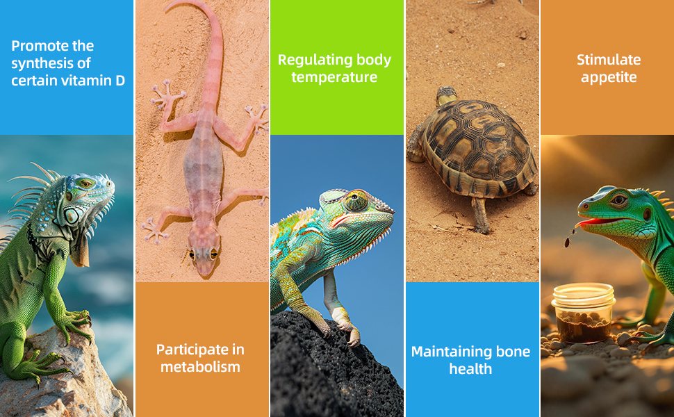 T5 Reptile Light Fixture Combo Kit