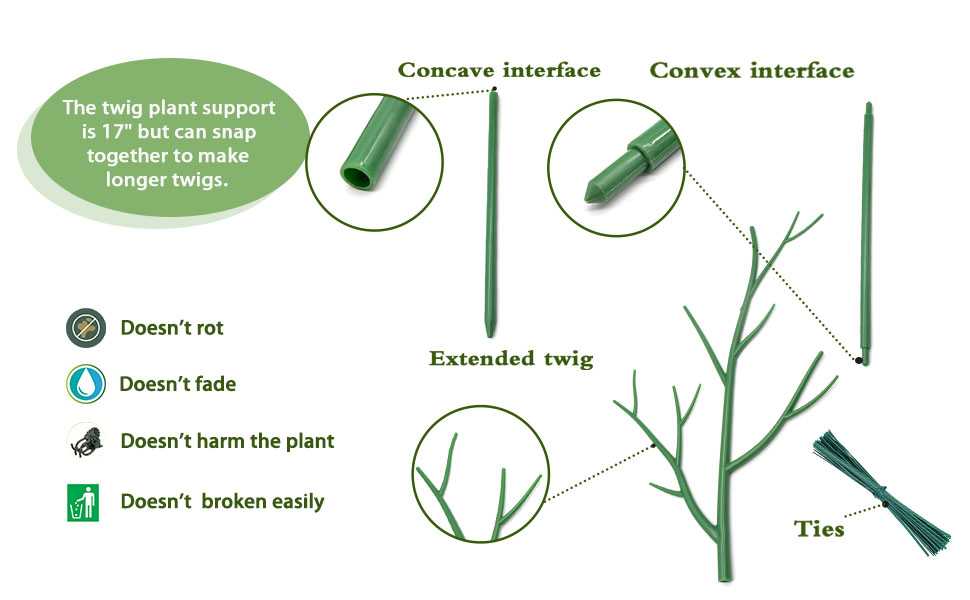 plant stakes 