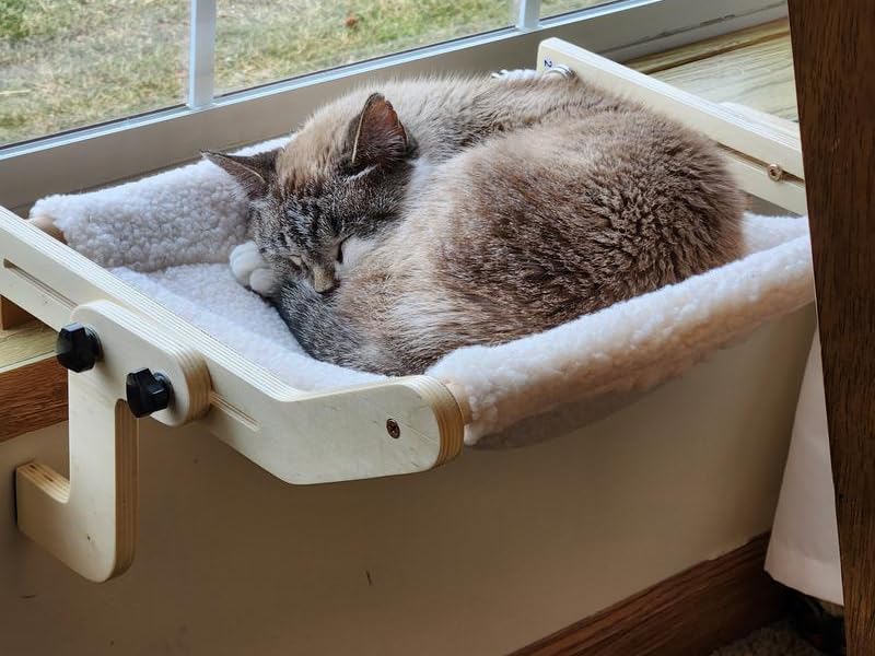 cat window hammock