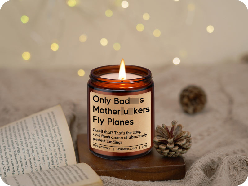 pilot christmas gifts, gifts for pilots men, aviation decor, stocking stuffers for pilot women men