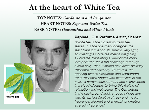 Solinotes White Tea Perfume Delicate Floral and Soothing Scent