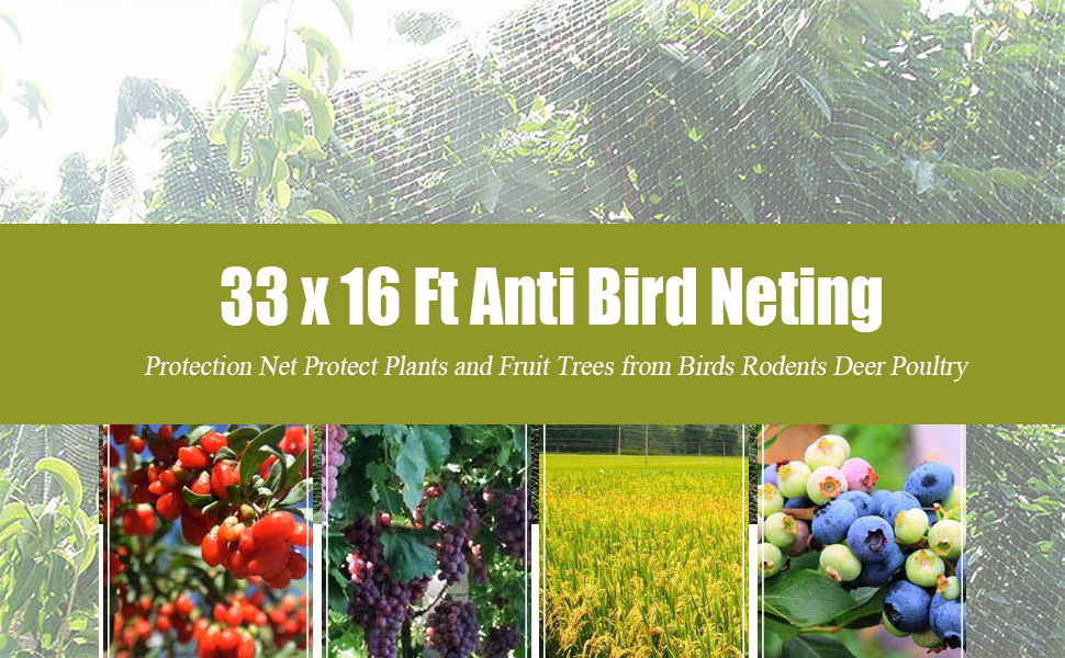 33 x 16 Ft Anti Bird Neting, Anti Bird Mesh, Garden Bird Netting