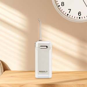 portable water flosser