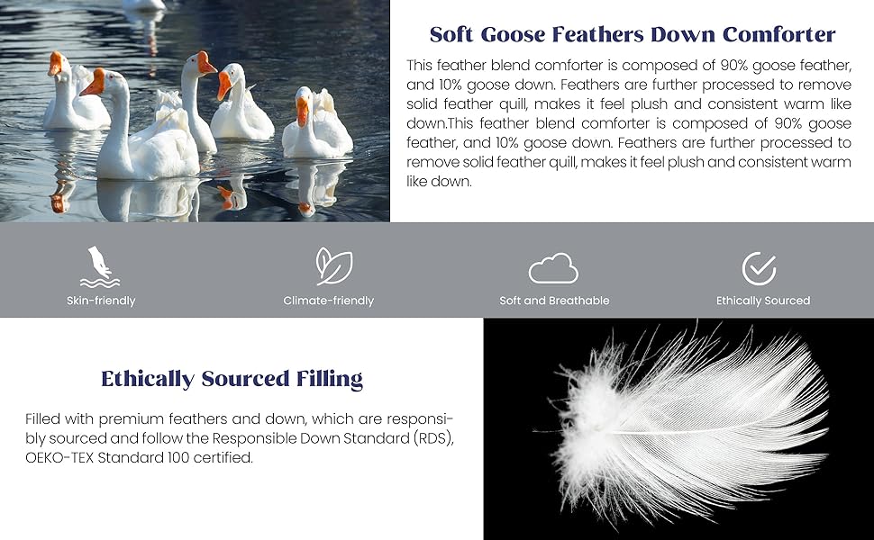 Peace nest White Goose Feather Down Comforter Twin Size for All Season 100 Cotton