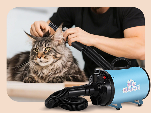 Amazon | NEWTRY ペットドライヤー 犬用 ペット用 ドライヤー