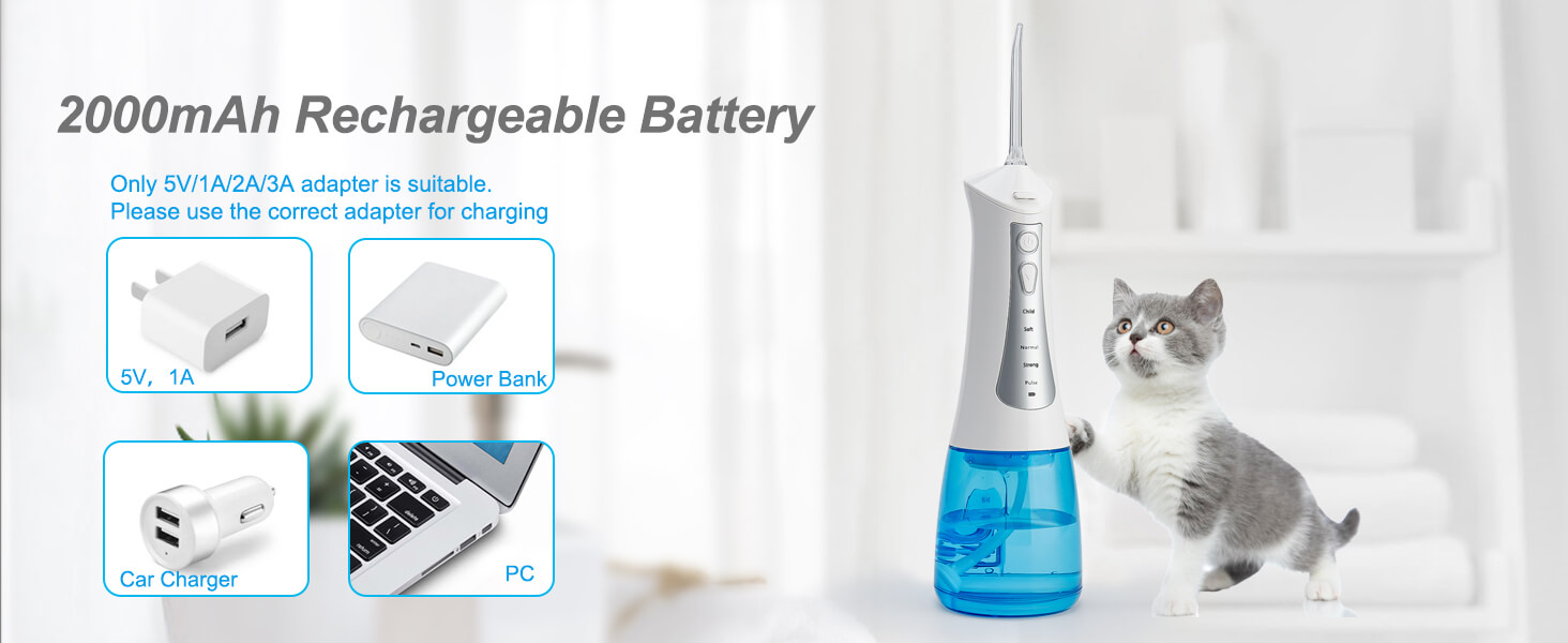 2000mAh Rechargeable Battery