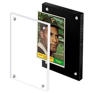 profession display frame