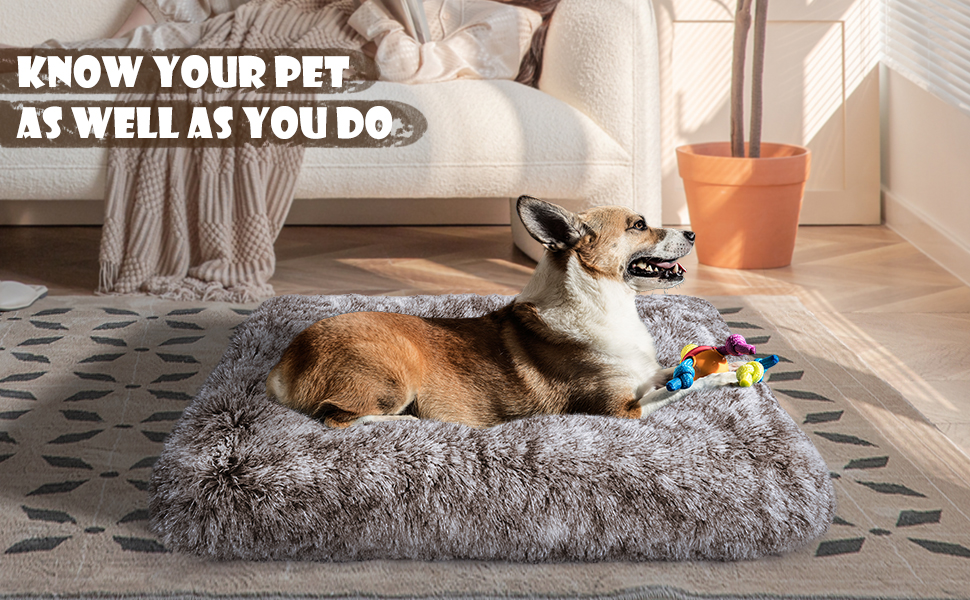 ULIGOTA Small Dog Bed Plush Crate Mattress Anti Anxiety Dog Bed Calming