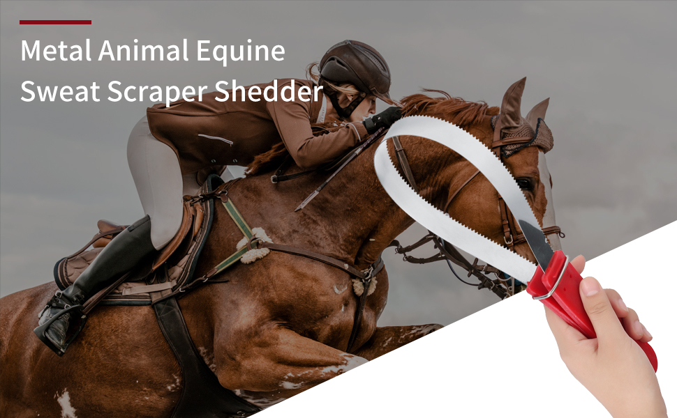 Horse Shedder Scraper