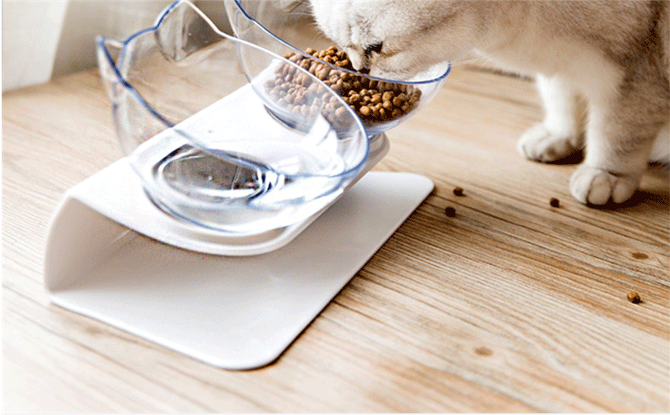 Double Cat Bowl with Raised Stand, Cat Bowl Pet Food Feeder,15° Tilted Anti-Slip Transparent Cat Food and Water Bowl, Protect Pets Cervical Vertebra, Detachable Pet Bowl for Cats and Dogs 23 1