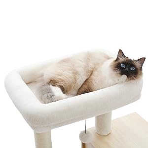 猫の塔
