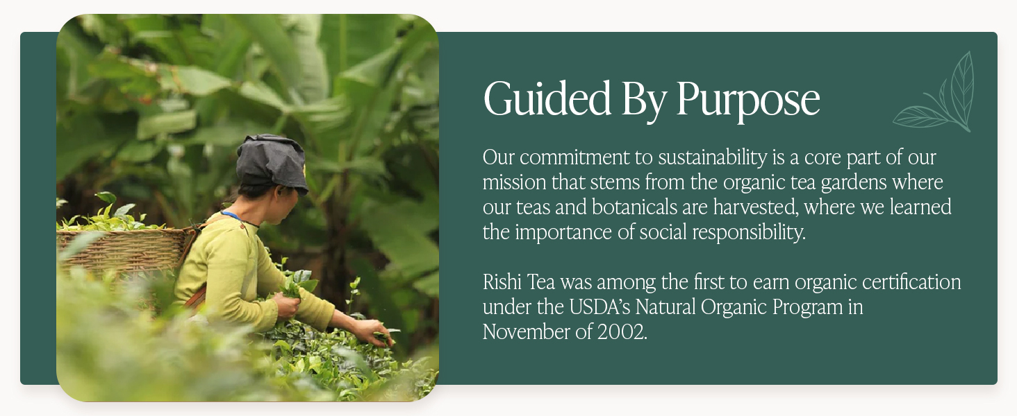 loose lavender tea bag organic tea assorted tea variety pack daughter in law gifts sick essentials