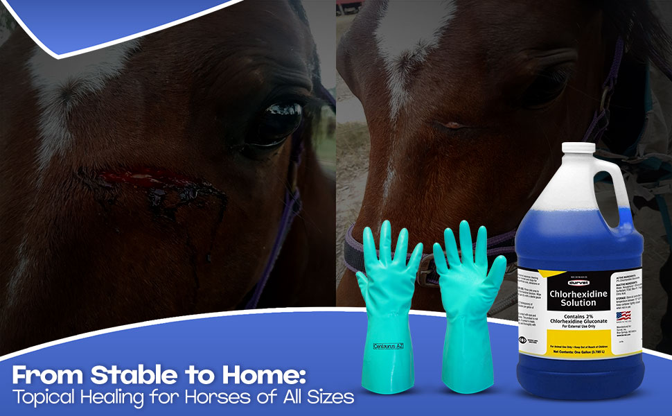 Centaurus AZ First Priority Care CHLORHEXIDINE Solution 2