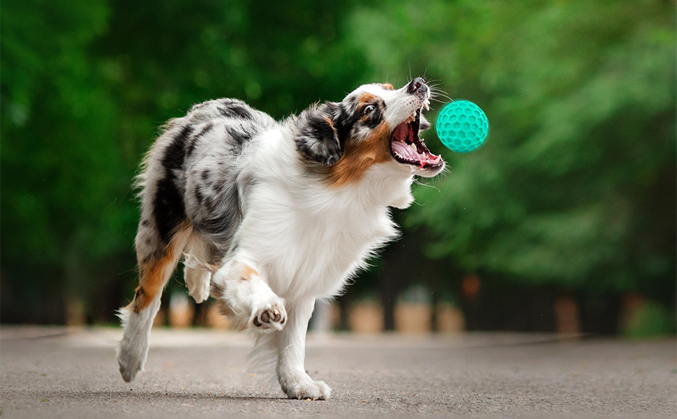 Squeaky Dog Toys for Aggressive Chewers, Indestructible Dog Balls for Aggressive Chewers