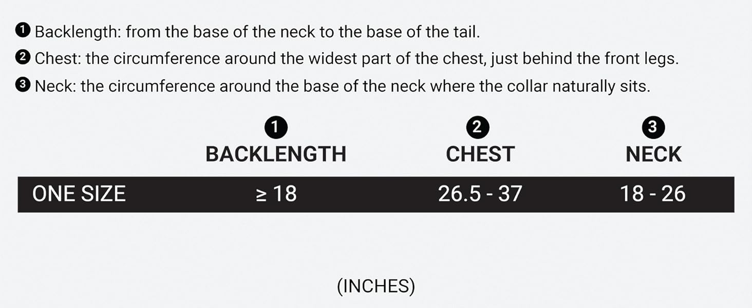 Trail-ready backpack for dogs with durable fabric and balanced load.