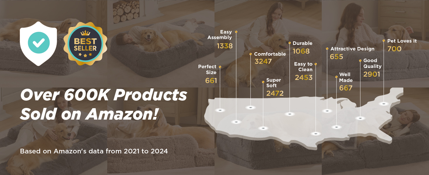 Text reads 'Over 600K Products Sold on Amazon!' Map graphic of United States with statistics and achievement indicators overlaid.