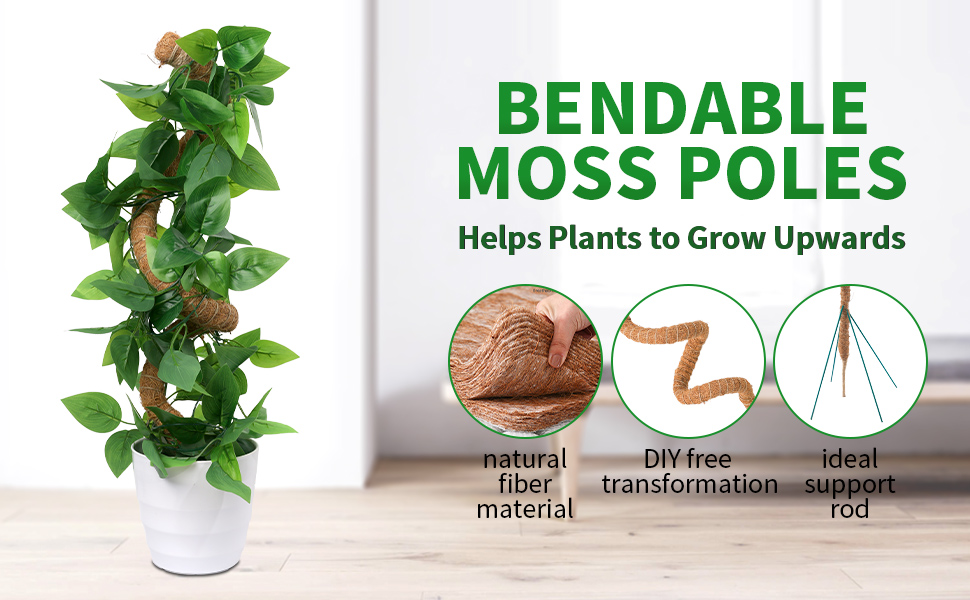 【Fumiti】21-22 MOSS STICK【70 SW Amazon.com : 2 Pack 17 Inch Moss Pole, Stackable Moss Poles