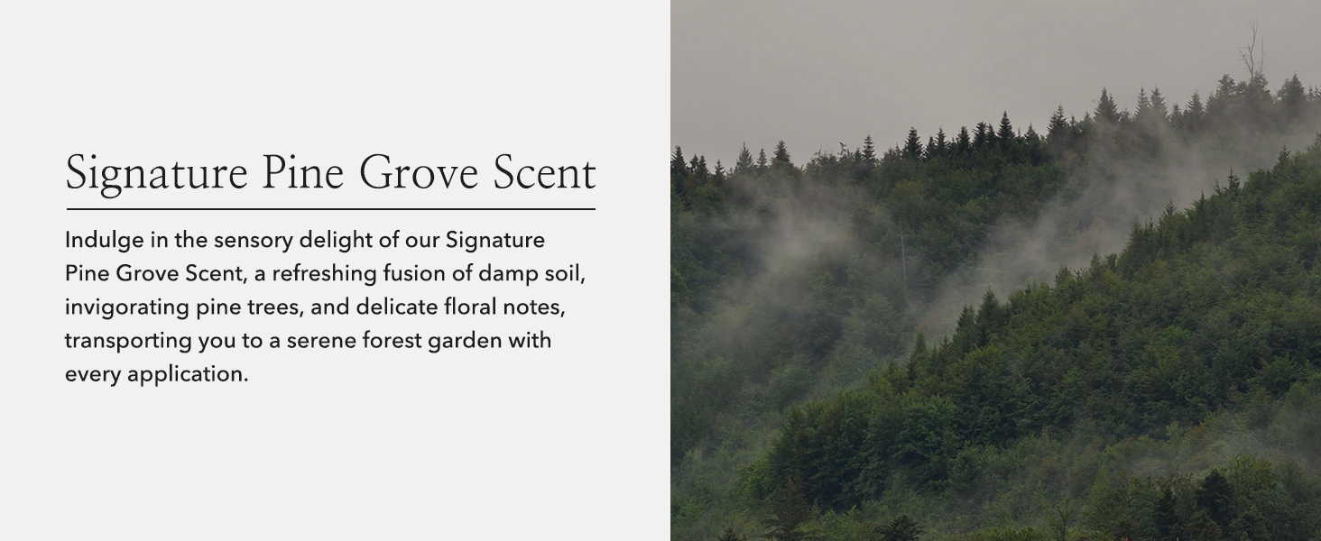 indulge in the sensory delight of our signature pine grove scent, forest garden with application