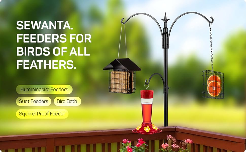 Suet Bird Feeder for Outside [Double Capacity] Suet Wild