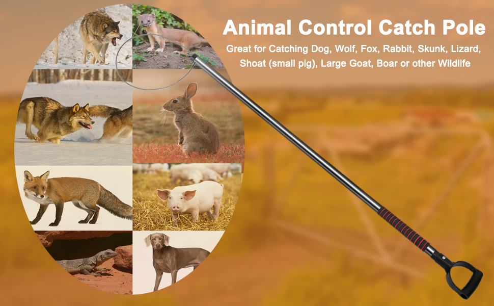 Dayimado Dog Catcher Pole, Animal Catch Pole for Dogs, Pig, Fox and Other Wildlife