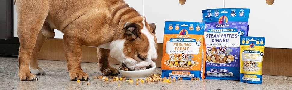 Complete and balanced or feed as a treat or topper