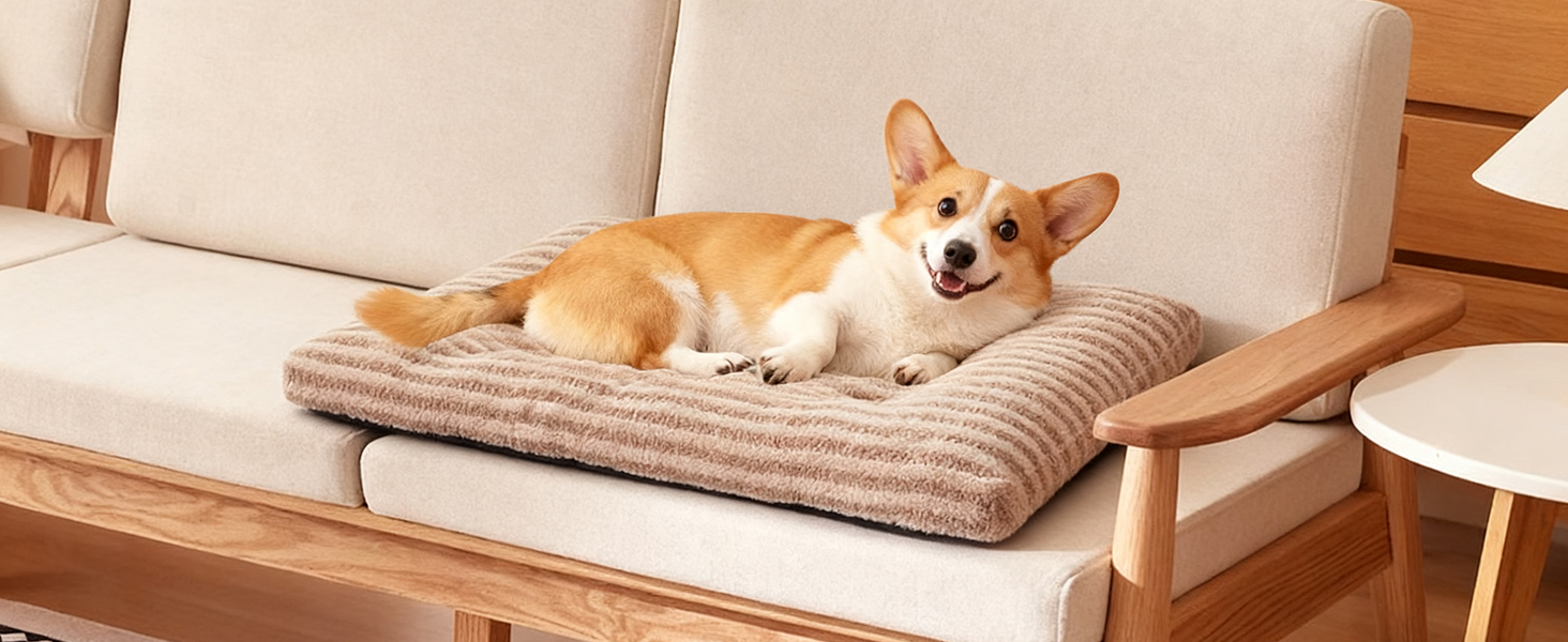 medium dog bed washable