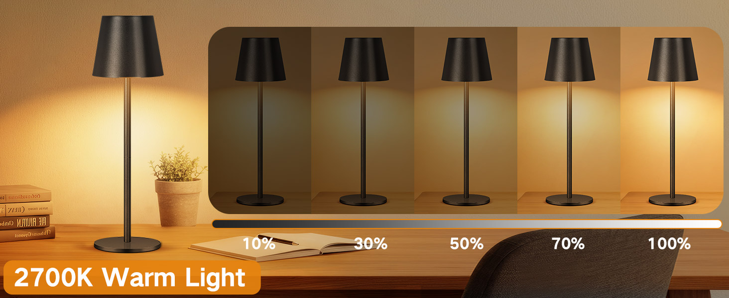 Battery Operated Table Lamp