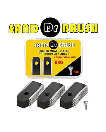 SAND DR BRUSH
