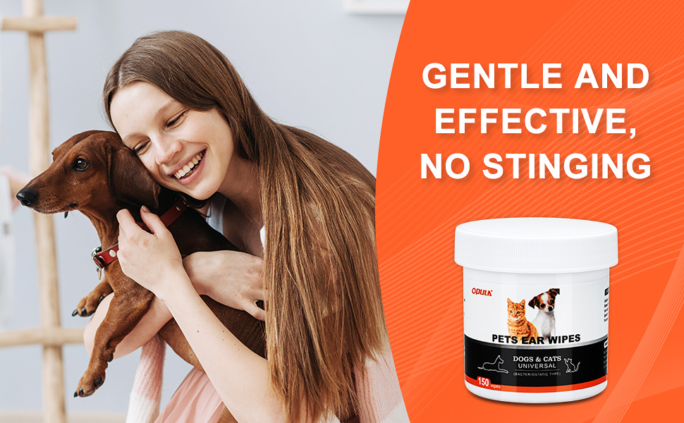 ear wipes