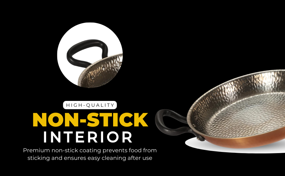 SPN-E2FA Double Handle Copper Finish Pan