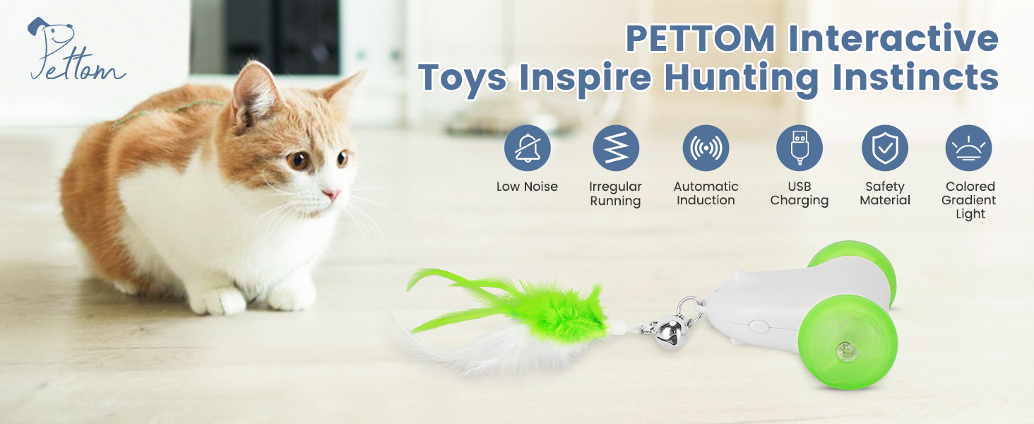PETTOM Cat Toys Interactive for Indoor Cats, Smart Cat Mouse Toy with ColourChanging LED Lights