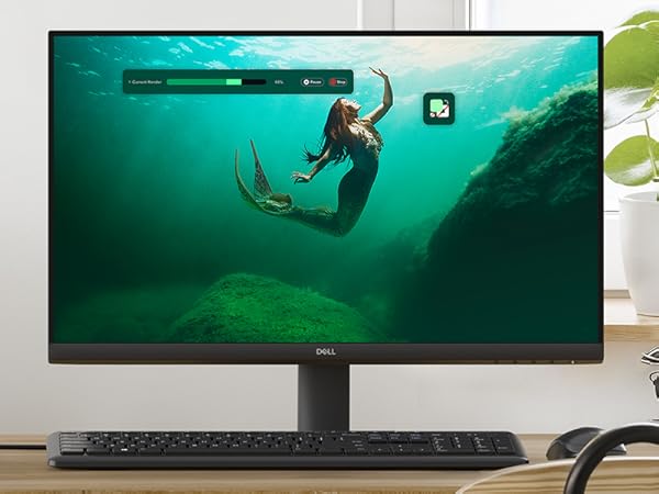 Dell 24インチモニタ (SE2425HM) Amazon.com: Dell 24 Monitor - SE2425HM - 23.8-inch Full HD