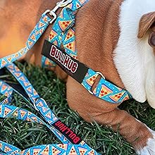 Bullhug Harness &amp;amp; Leash
