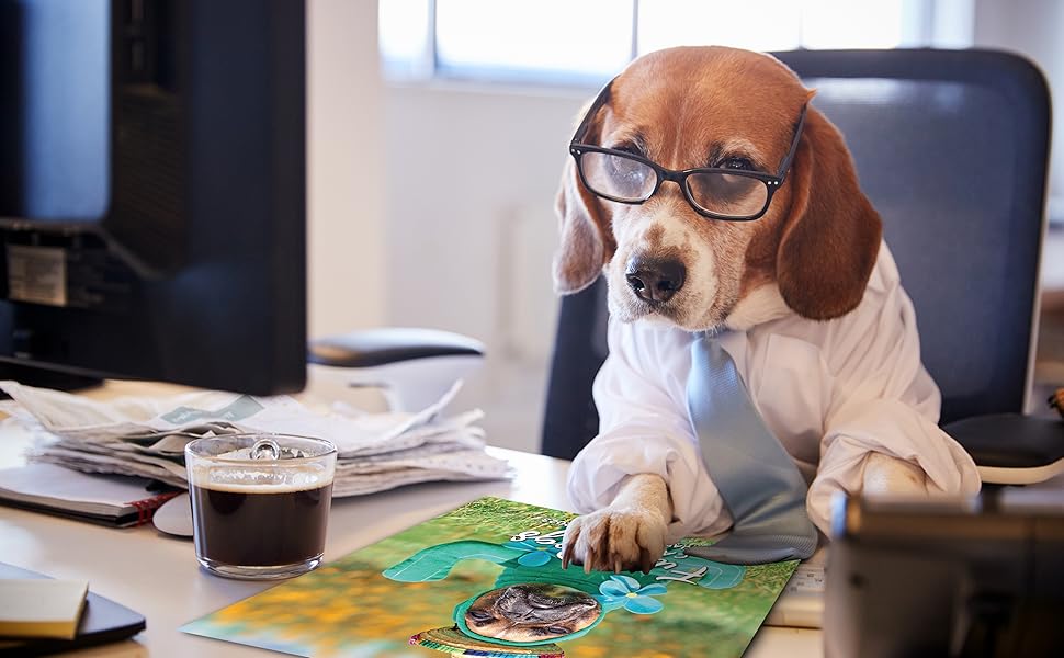 Large manufacture image 4