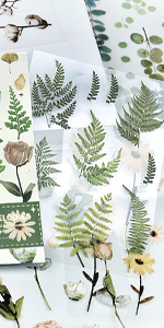 Fern Scrapbook Stickers Kit 