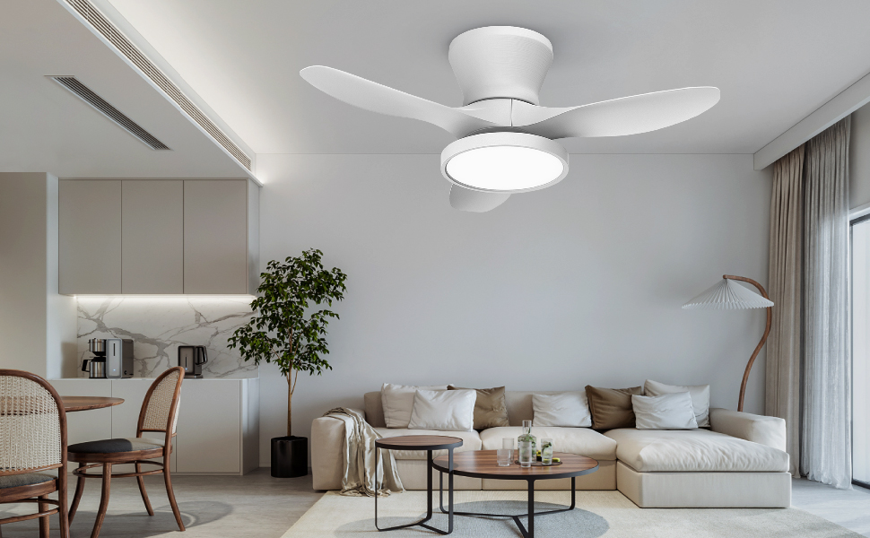 ceiling fans with light