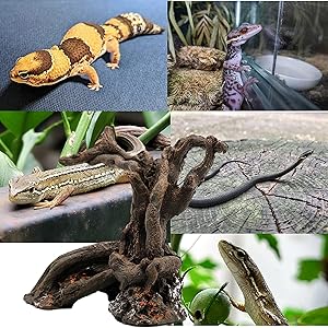 天然流木　インテリア　トンネル状　爬虫類　小動物　アクアリウム　コケリウム　置物 Amazon | 正直屋 爬虫類 登り木 流木 隠れ家 水槽 テラリウム