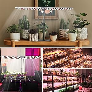 スタンド（白）と植物育成球セット。お部屋の中で、イチゴが栽培できます。 スタンド（白）と植物育成球セット。お部屋の中で、イチゴが栽培