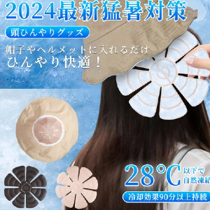 アイスジャパン社頭皮冷却セット（4時間分） アイスジャパン社頭皮冷却セット（4時間分）