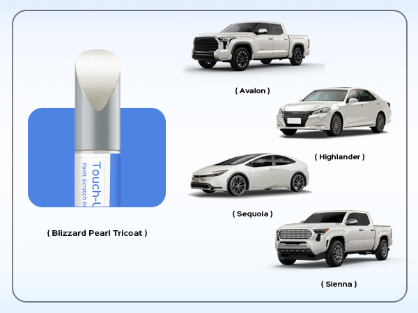 Amazon.com: PARTS4EV 089 Wind Chill Pearl Tricoat Touch Up