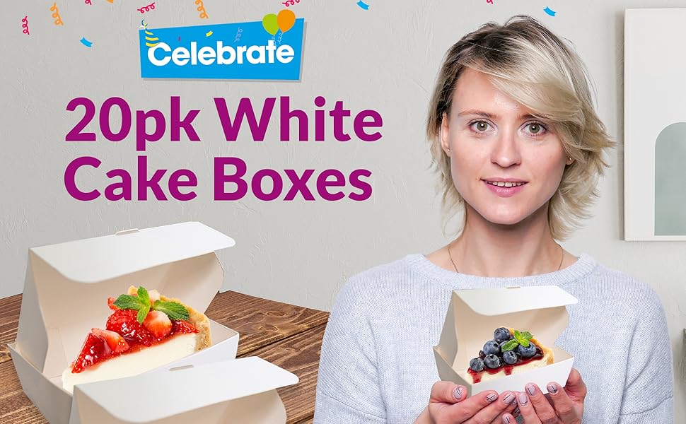 20pk White Cake Slice Box Small Individual Cake Boxes for Cake