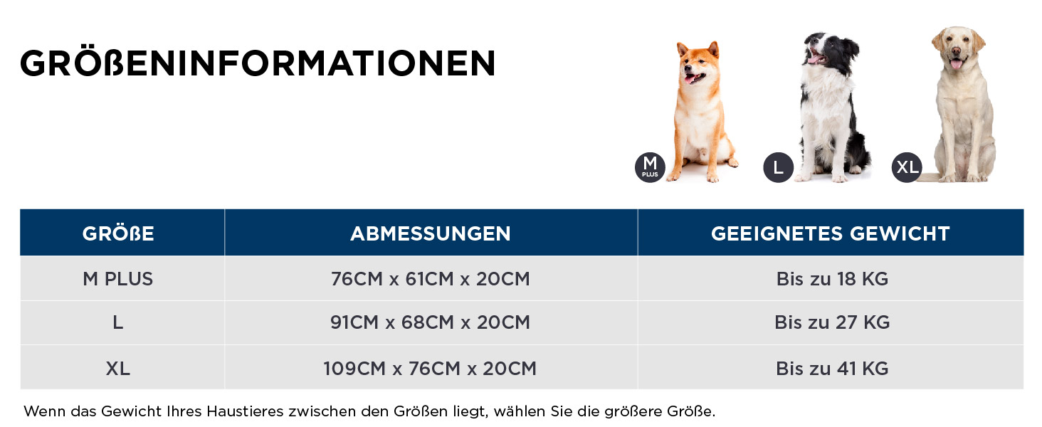 Bei der Hunderasse handelt es sich um eine mittelgroße Hunderasse.
