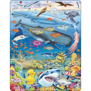 イルカと魚のパズル Amazon | プレミアムジグソーパズル 1000ピース 20インチ x 27