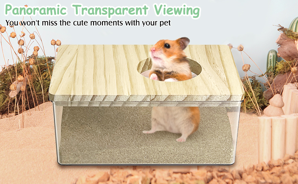 kathson Hamster Sand Bath Box Transparent Gerbil Bathroom